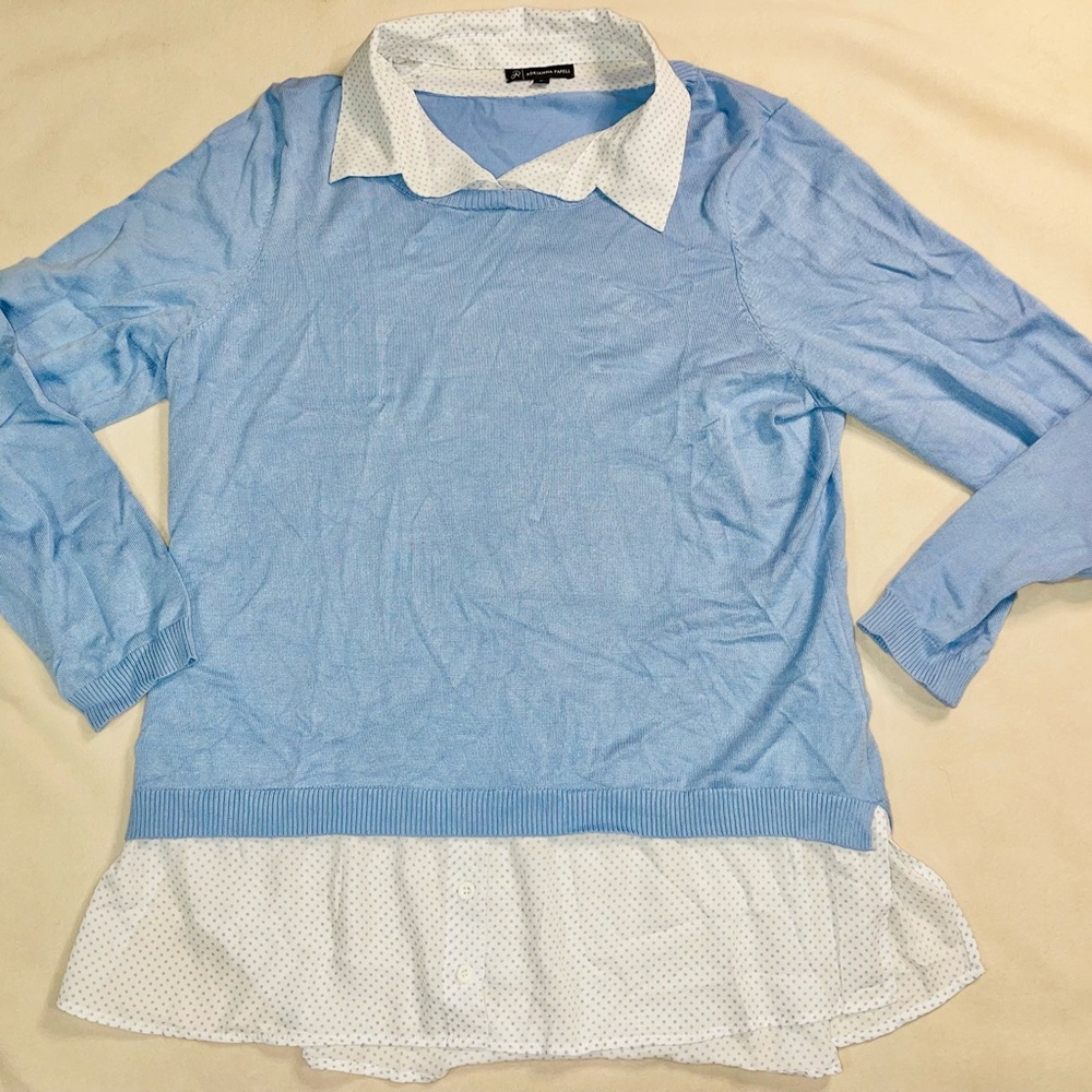 Adrianna Papell Blue and White Button Down Shirt